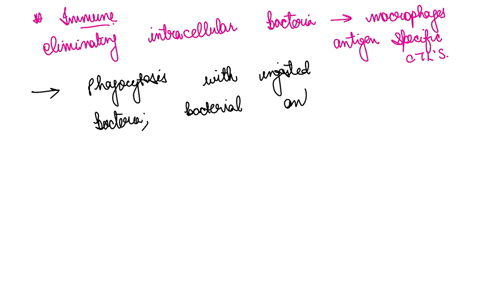 in-the-scenario-of-eliminating-intracellular-bacteria-that-infect-macrophages-antigen-specific-ctls-select-one-interact-directly-with-infected-macrophages-present-antigen-to-the-equivalent-t-07596