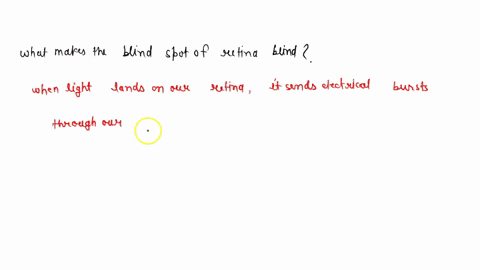 what-makes-the-blind-spot-of-the-retina-blind-2-24396