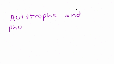 which-of-the-following-describes-an-organism-that-obtains-energy-from-light-a-autotroph-only-b-phototroph-only-c-autotroph-and-phototroph-d-heterotroph-and-chemotroph-e-autotroph-phototroph-07966