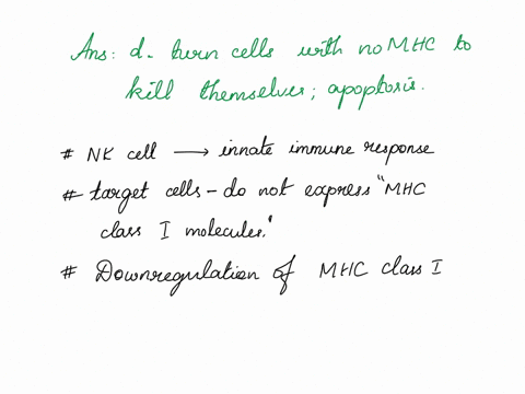 question-46-whot-is-the-function-of-nk-cells-kill-bacteria-carrying-mhc-b-turn-tcells-into-killer-cells-bind-and-stimulate-macrophoges-turn-cells-with-no-mhc-to-kill-themselves-apoptosis-73295