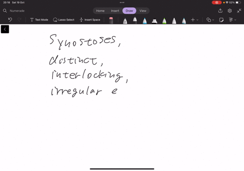 which-joints-are-synostoses-that-have-distinct-interlocking-usually-irregular-edges-that-increase-their-strength-multiple-choice-sutures-gomphoses-interosseous-membranes-synchondroses-prev-2-of-11-nea