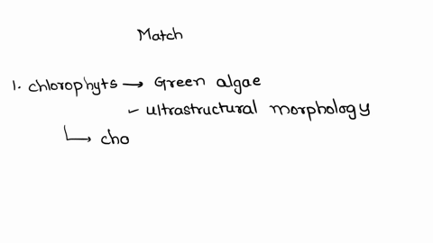 match-the-columns-and-select-the-correct-option-i-ii-a-chloropohyts-i-equisetum-b-lycopsida-ii-chara-c-rhaeophyta-iii-selaginella-d-sphenopsida-iv-ectocarpus-a-a-ii-b-iii-c-iv-d-i-b-a-iv-b-i-41033