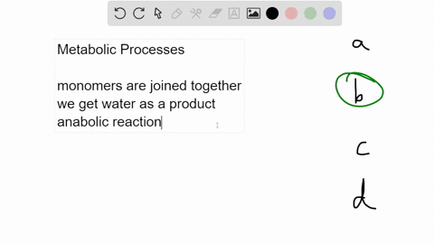 Polyunsaturation Process The following figure represents which...