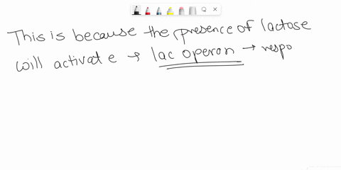you-are-growing-e-coli-in-the-laboratory-form-your-understanding-of-the-iac-operon-answer-the-following-questions-make-sure-to-explain-your-answer-a-how-is-the-expression-of-iac-genes-affect-55018