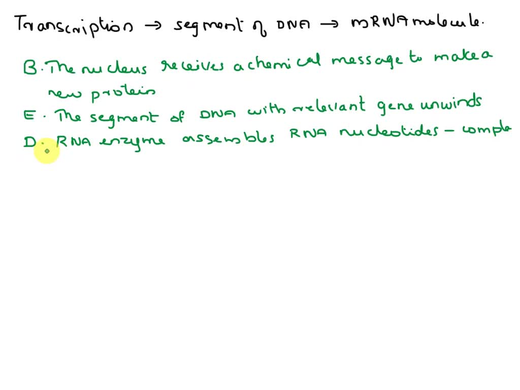 SOLVED Texts RNA Processing RNA mRNA Three Steps of mRNA Processing 1