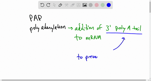 what-would-happen-if-a-mutation-inactivated-the-ability-of-poly-a-polymerase-pap-to-add-a-stretch-of-adenine-nucleotides-to-the-3-end-of-a-cleaved-mrna-transcript-the-polyadenylation-factors-35057