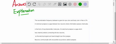5-you-are-recording-from-a-pair-ofneurons-you-suspect-that-they-are-connected-by-an-electrical-synapse-describe-four-experiments-that-you-could-use-to-test-whether-the-connection-is-electric-97173
