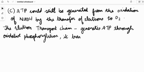 question1of-120-flag-question-a-scientist-was-studying-the-electron-transport-chain-and-developed-a-compound-that-bound-to-all-the-cytochromes-in-the-proteins-of-the-electron-transport-chain-83448