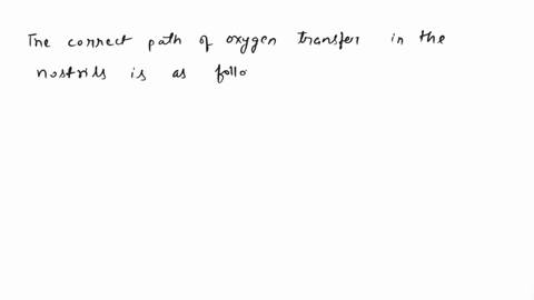 which-of-the-following-shows-the-correct-pathway-of-air-in-the-respiratory-system-59434