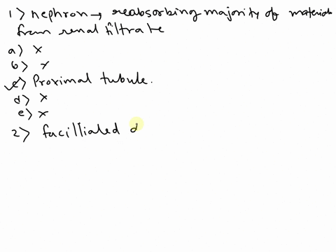 1-which-structure-within-the-nephron-is-responsible-for-reabsorbing-the-majority-of-materials-from-the-renal-filtrate-a-distal-tubule-b-renal-pelvis-c-proximal-tubule-d-collecting-duct-e-loo-72894