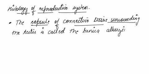 20reflexes-drag-each-label-into-the-appropriate-category-to-designate-which-reflex-is-described-by-the-following-terms-or-structures-stretch-reflex-tendon-organs-are-the-receptors-marked-by-71364
