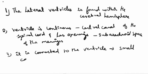 complete-the-sentences-describing-the-ventricles-and-spaces-associated-with-csf-in-the-central-nervous-system-then-place-the-sentences-in-order-to-describe-the-flow-of-csf-from-superior-to-i-81524
