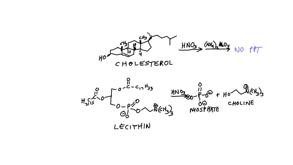 SOLVED Draw the chemical reaction for molybdate test using Cholesterol