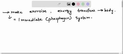 question-3-when-we-start-to-make-exercise-define-the-energy-transfers-in-our-body-define-the-energy-systems-that-we-use-during-an-exercise-program-in-order-give-examples-of-physical-activiti-83328