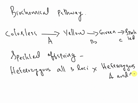 three-independently-assorting-genes-areknown-to-control-the-biochemical-pathway-shown-here-which-provides-the-basis-for-flower-color-in-a-plant-homozygous-recessive-mutations-ab-andc-that-in-68694
