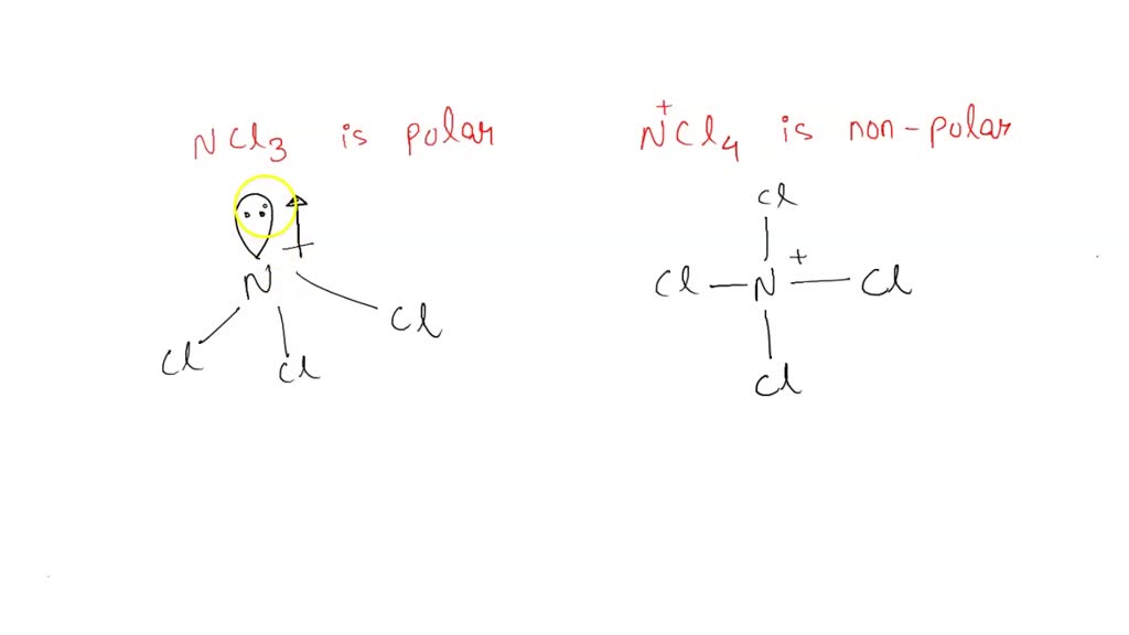 SOLVED SHORT ANSWER AND DISCUSSION Explain why polar aprotic solvent