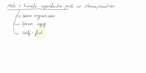 the-organism-which-has-both-the-male-and-female-sex-organ-present-in-the-same-body-is-called-_________-39448