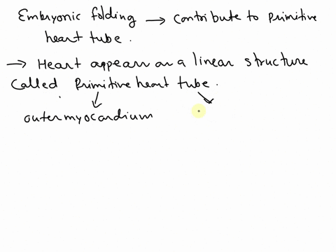 only-the-blue-highlighted-part-describe-how-embryonic-folding-contributes-to-shaping-the-primitive-heart-tube-describe-how-the-heart-appears-before-embryonic-foldinginclude-the-myocardiumend-30608