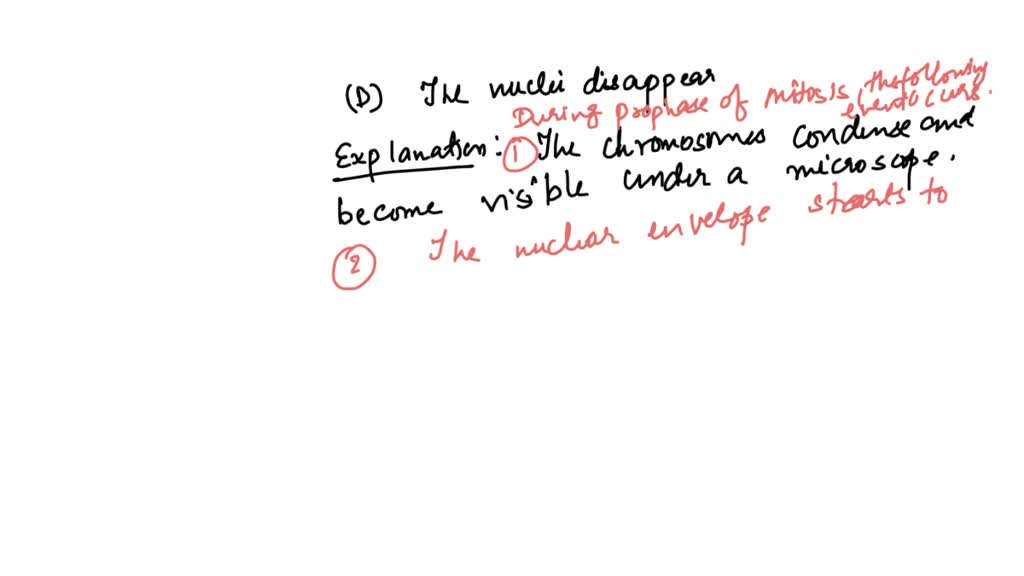SOLVED which of the following is true regarding prophase? A. The