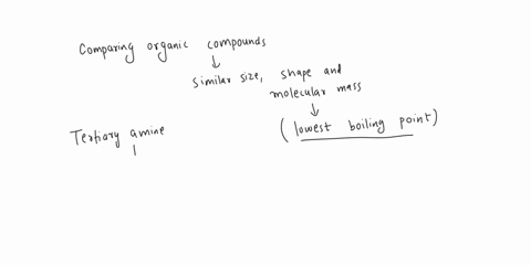 ifa-fatty-acid-containing-28-carbons-underwent-b-oxidation-beta-oxidation-how-many-acetyl-coa-would-be-produced-and-how-many-rounds-beta-oxidation-is-required-t0-fully-break-down-the-fatty-a-39615