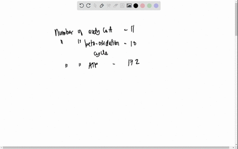match-the-following-answers-with-the-statements-regarding-beta-oxidation-of-a-22-carbon-fatty-acid-1-number-of-acetyl-coa-produced-2-number-of-passes-through-the-b-oxidation-pathway-3-number-25045