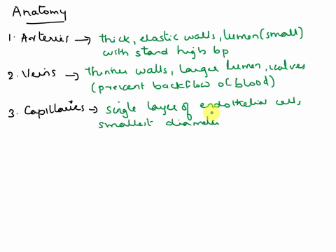 compare-and-contrasts-the-anatomy-and-physiology-of-blood-vessels-arteries-veins-and-capillaries-why-are-these-differences-significant-in-the-overall-function-of-the-circulatory-system-pleas-49188