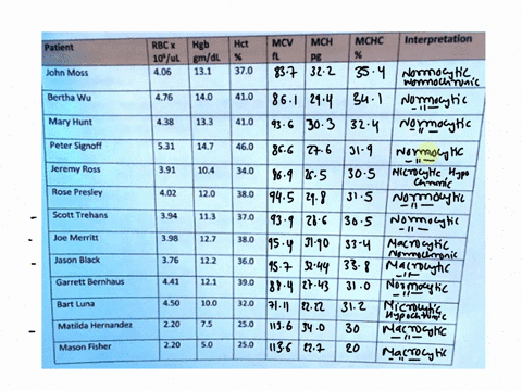 calculation-of-rbc-indices-patient-rbc-hgb-hct-10-ul-gmldl-406-131-370-mcv-mch-mchc-interpretation-john-moss-bertha-wu-476-140-410-mary-hunt-438-133-410-peter-signoff-531-147-460-jeremy-ross-13508