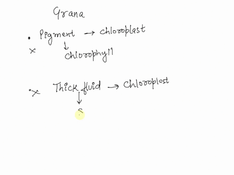 what-are-grana-stacks-of-membranous-sacs-in-chloroplasts-pigments-found-in-chloroplasts-thick-fluids-inside-chloroplasts-convolutions-of-the-inner-chloroplast-membrane-38926