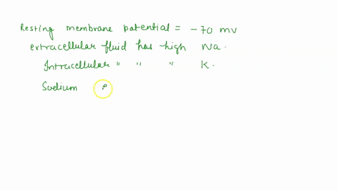 please-help-for-a-neuron-at-resting-membrane-potential-please-select-all-of-the-correct-statements-a-there-is-a-higher-concentration-of-sodium-na-outside-the-cell-than-inside-the-cell-b-the-67943