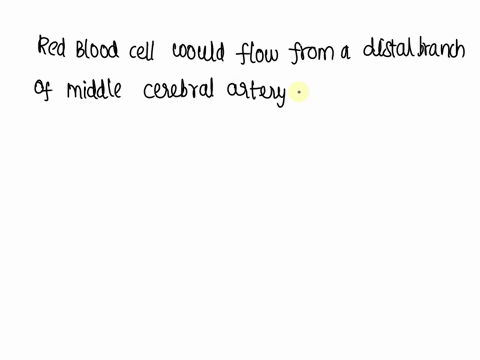 a-red-blood-cell-flowing-from-a-distal-branch-of-the-middle-cerebral-artery-to-the-internal-jugular-vein-would-travel-along-all-of-the-following-except-the-transverse-sinus-superior-saggital-20815