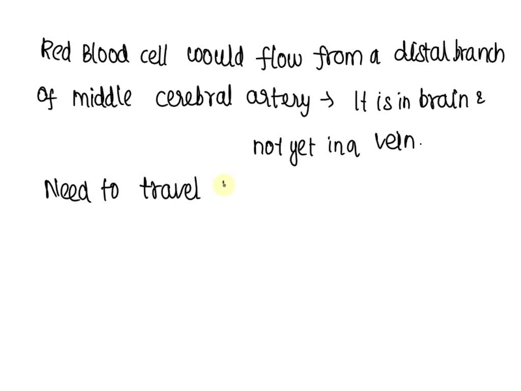 solved-blood-flowing-from-a-distal-branch-of-the-middle-cerebral-artery-to-the-internal-jugular