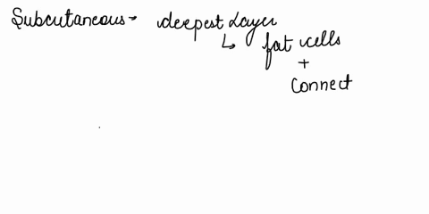 the-subcutaneous-layer-of-skin-is-composed-mainly-of-group-of-answer-choices-fat-cells-sweat-glands-hair-follicles-lymphatic-vessels-39085