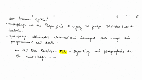 macrophage-using-tlr4-has-recognized-a-bacterial-pathogen-containing-lps-is-this-recognition-event-alone-able-to-trigger-phagocytosis-if-not-can-you-name-a-prr-that-can-induce-phagocytosis-a-13867