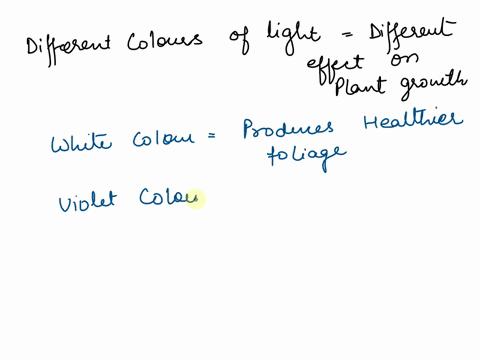 a-student-conducts-a-science-experiment-in-which-she-places-four-identical-plants-under-four-different-colors-of-light-red-white-yellow-and-green-she-measures-their-height-after-a-few-weeks-06974