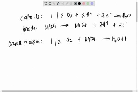 calculate-the-standard-free-energy-change-for-the-reduction-of-o2-by-nadh-the-relevant-standard-reduction-potentials-for-the-two-half-reactions-are-12-o2-2-h-2-e-o-h2o-e-v-0815-nad-h-2-e-o-n-10246