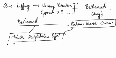 mr-johnson-suffers-from-urinary-retention-and-a-hypoactive-urinary-bladder-bethanechol-a-drug-that-m-91702