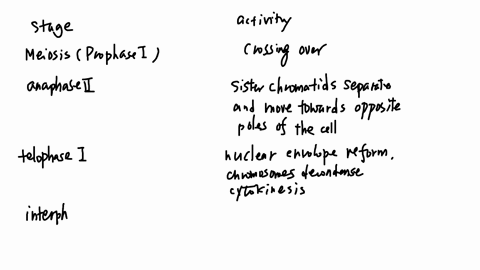 stages-of-the-cell-cycle-cellular-activity-crossing-over-occurs-anaphase-ii-members-of-homologous-pairs-separate-from-each-other-telophase-i-interphase-pairs-of-homologous-chromosomes-locate-45287