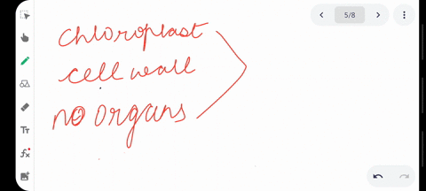 in-which-kingdom-would-this-organism-which-has-chloroplasts-cell-walls-but-no-organs-be-classified-a-79991