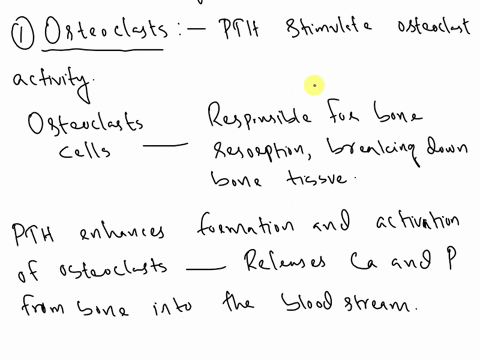 what-effect-does-pth-have-on-osteoclasts-osteoblaststhe-kidneys-the-small-intestine-and-bone-36256