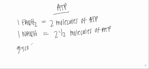 how-many-atp-molecules-are-created-for-each-carrier-molecule-below-a-1fadh2-nadh-what-occurs-during-the-intermediate-step-between-glycolysis-and-the-krebs-cycle-two-pyruvic-acids-are-convert-10714
