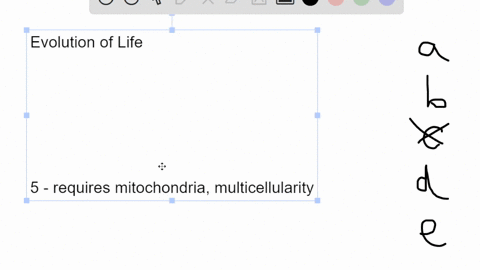 what-is-thought-to-be-the-correct-sequence-of-these-major-events-from-earliest-to-most-recent-in-the-evolution-of-life-on-earth-origin-of-mitochondria-origin-of-protists-origin-of-multicellu-13643