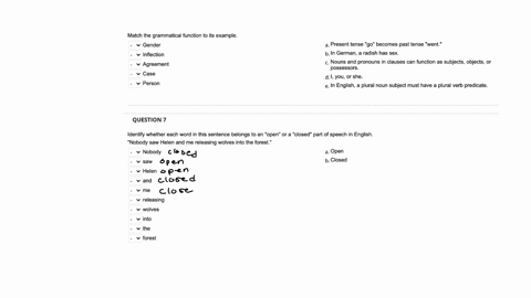 match-the-grammatical-function-to-its-example-vgender-vinflection-vagreement-bin-germana-radish-has-sex-cnouns-and-pronouns-in-clauses-can-function-as-subjectsobjectsor-possessors-d-i-you-or-29304