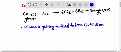when-glucose-and-oxygen-become-carbon-dioxide-plus-water-cell-respiration-reaction-which-of-the-following-is-true-the-reaction-is-positive-delta-g-and-glucose-is-oxidized-negative-delta-g-an-89652