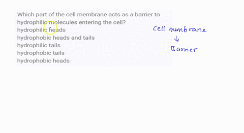 which-part-of-the-cell-membrane-acts-as-a-barrier-to-hydrophilic-molecules-entering-the-cell-hydrophilic-heads-hydrophobic-heads-and-tails-hydrophilic-tails-hydrophobic-tails-hydrophobic-hea-26927