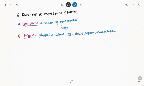describe-the-six-functions-of-membrane-proteins-89983
