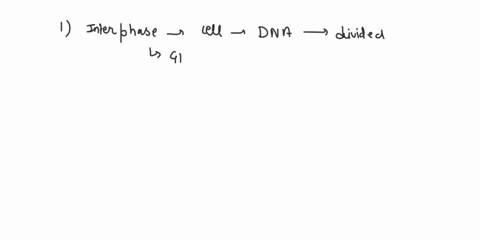 list-the-stages-of-the-cell-cycle-and-summarize-whatoccurs-in-each-one-48966