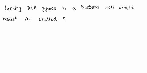 4-how-would-dna-replication-be-affected-in-a-bacterial-cell-that-is-lacking-a-dna-gyrase5-arrange-the-following-components-of-replication-in-the-order-in-which-they-first-act-in-the-replicat-35602