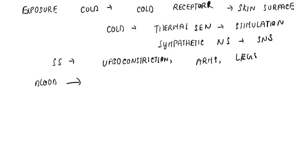 solved-how-the-nervous-system-coordinates-the-response-of-the-skin-to