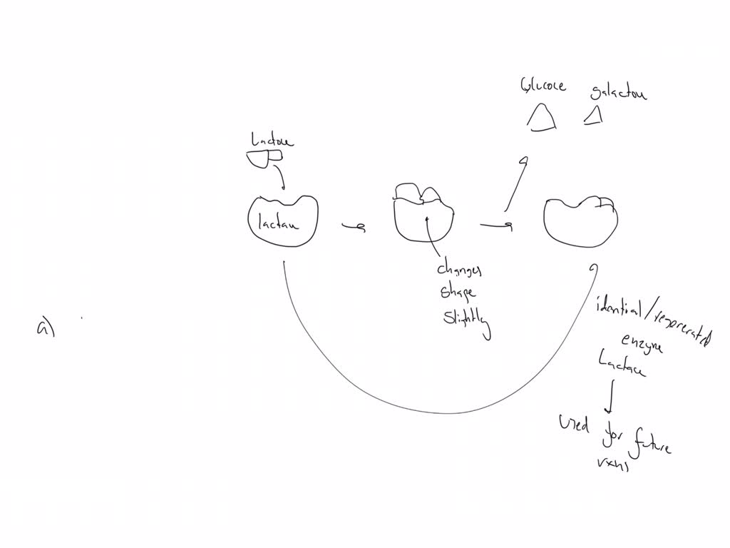 SOLVED Which of the following statements is TRUE in describing the