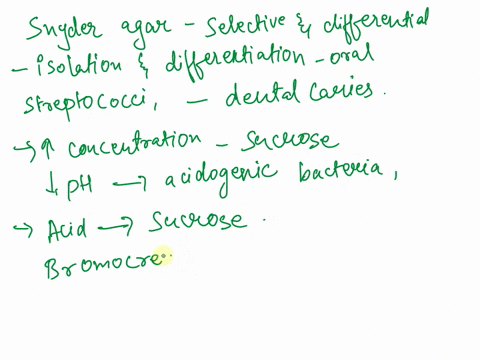 14explain-how-snyder-agar-is-both-a-selective-and-differential-medium-15a-what-is-one-way-bacteria-use-sugar-to-produce-dental-caries-b-what-type-of-growth-environment-do-bacteria-need-to-pr-78504